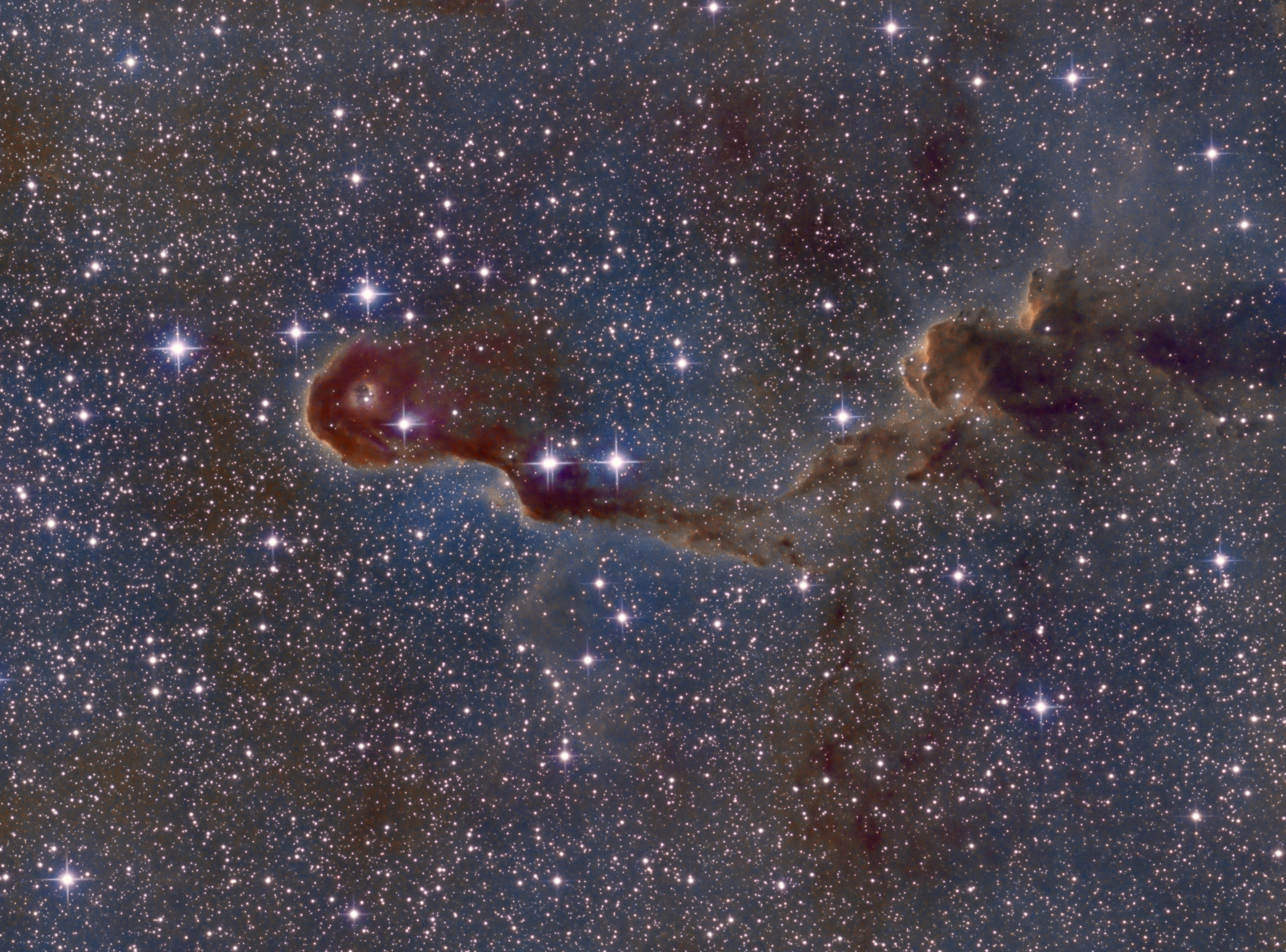 IC 1396A - Hubble palette