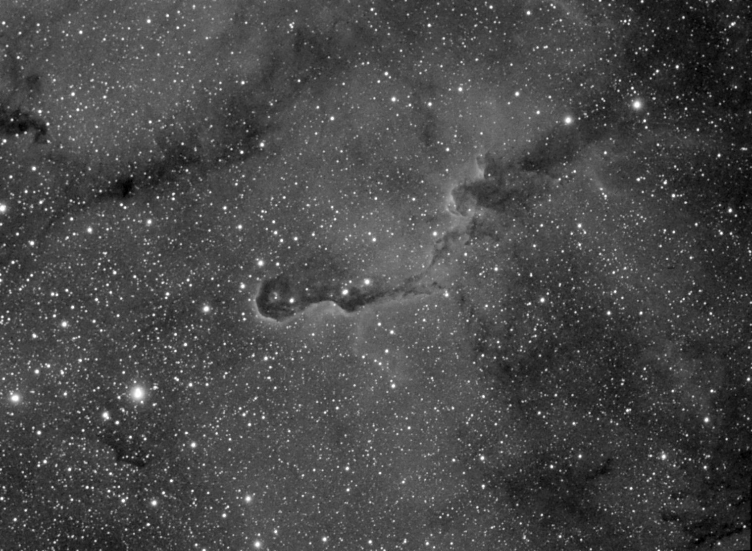 IC 1396 - wide angle view, H&alpha;