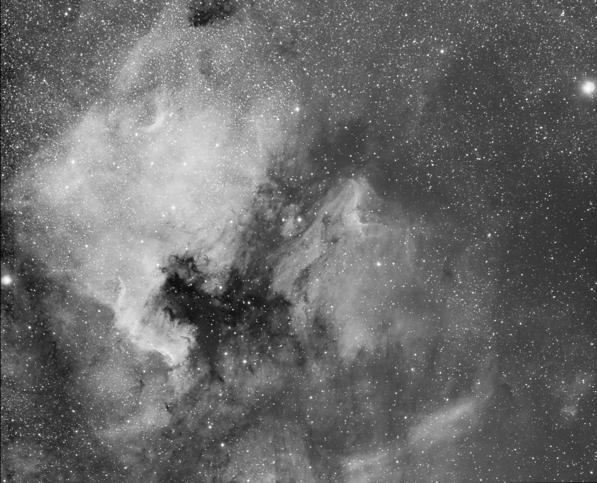NGC 7000 and IC 5070 - Hα
