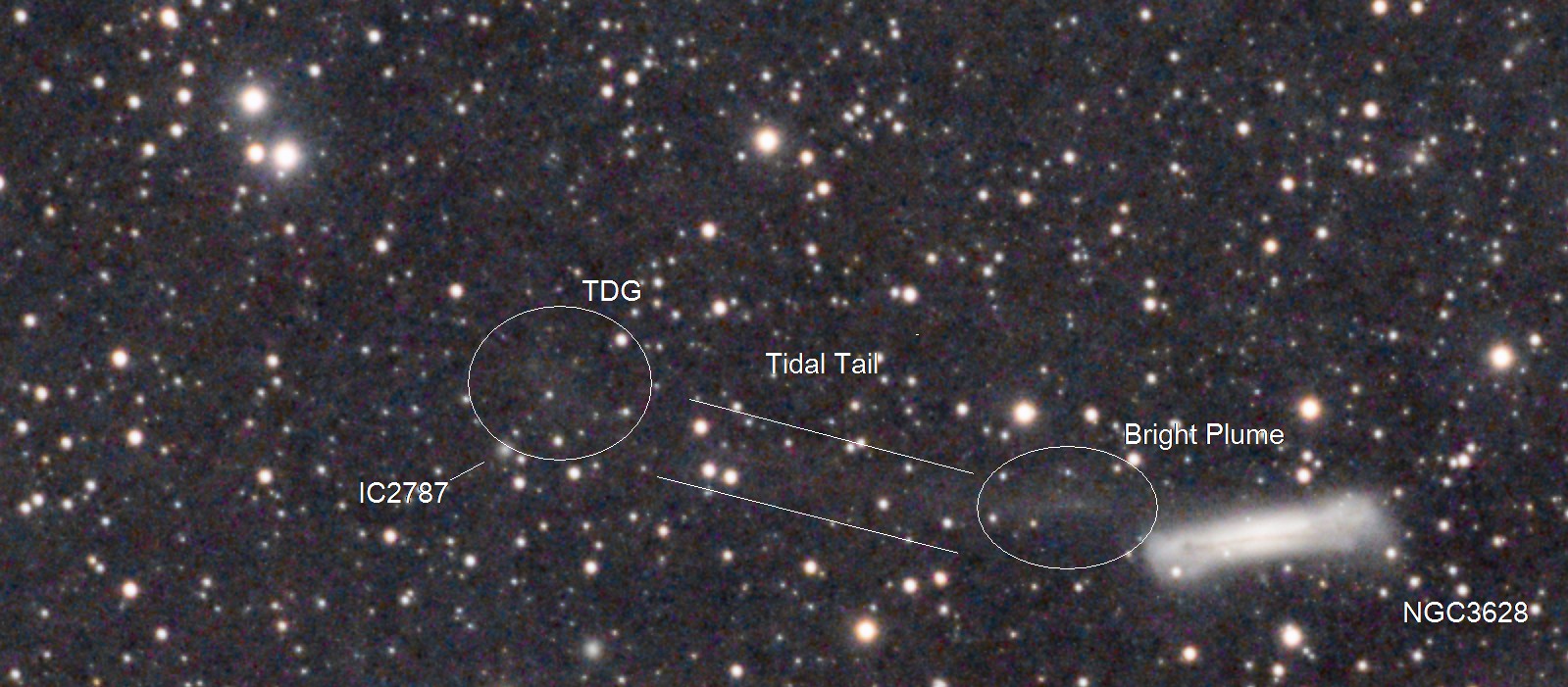 Tidal tail and tidal dwarf galaxy (TDG) - annotated