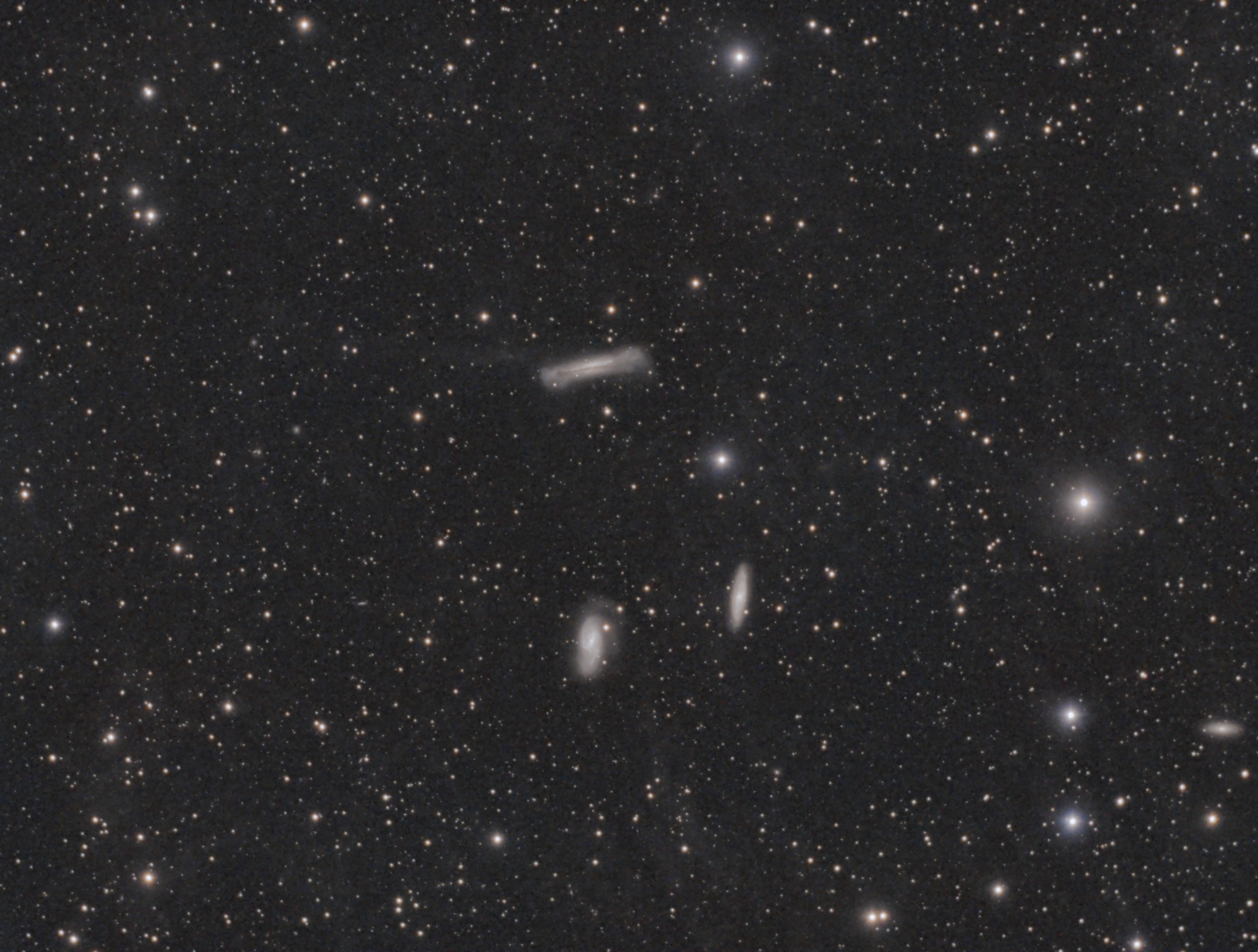 Leo Triplett (not a pretty picture)