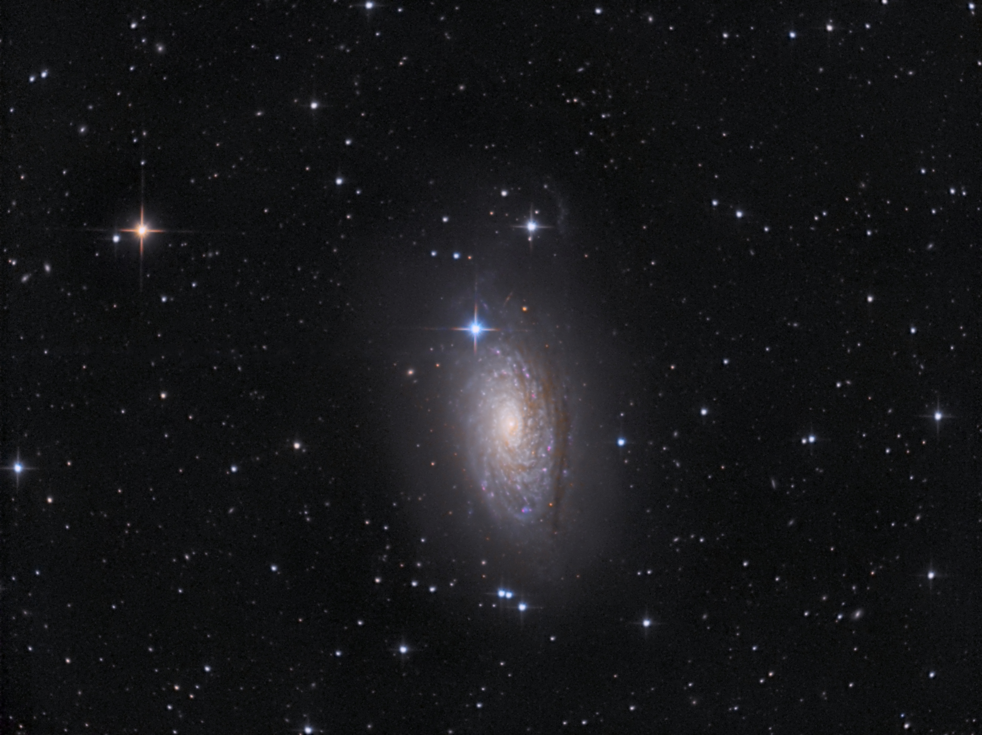 M 63
