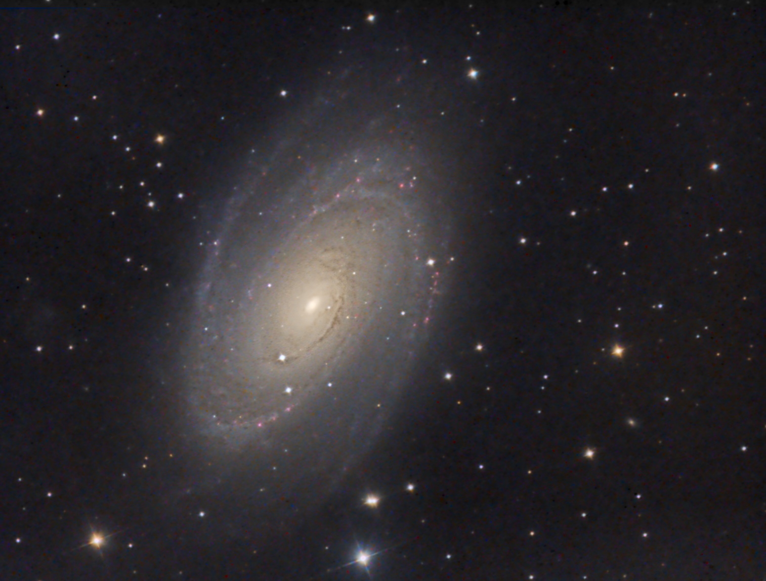 M 81