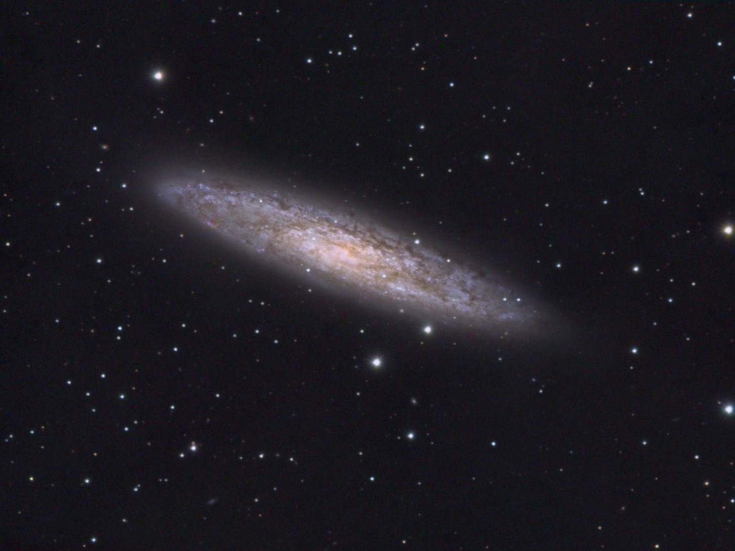 NGC 253 - LRGB